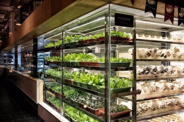 菜园里的火锅店：此味只应天上有